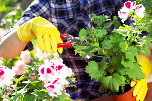 Gardening team pricing a small Deptford front-garden clearance