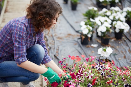 Landscape waste sorting with green waste and reusable materials in Deptford