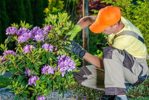 Accessibility support section for Deptford landscaping visitors