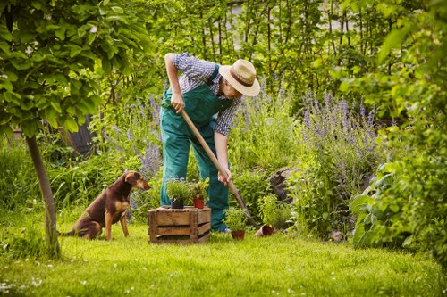 Soft landscaping services for homes and commercial sites in Deptford