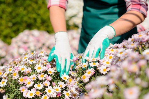 Reliable payment methods for Landscaping Deptford