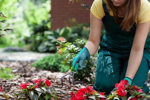 Professional garden landscaping details for a Deptford residential outdoor area
