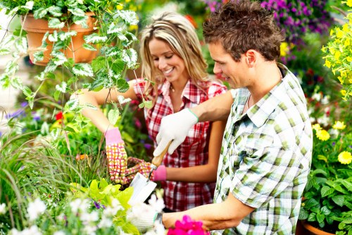 Quotation and booking discussion for landscaping services