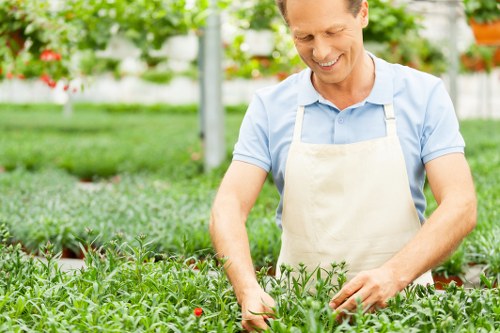Practical outdoor landscaping and paving for a Deptford property