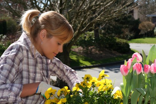 Deptford landscaping sustainability with recycling and circular waste management