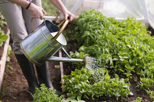 Modern landscaping in Deptford with planting, hard surfaces, and outdoor lighting